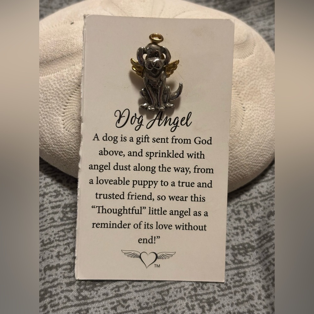 Dog Angel Pin with Gold and Silver Accents